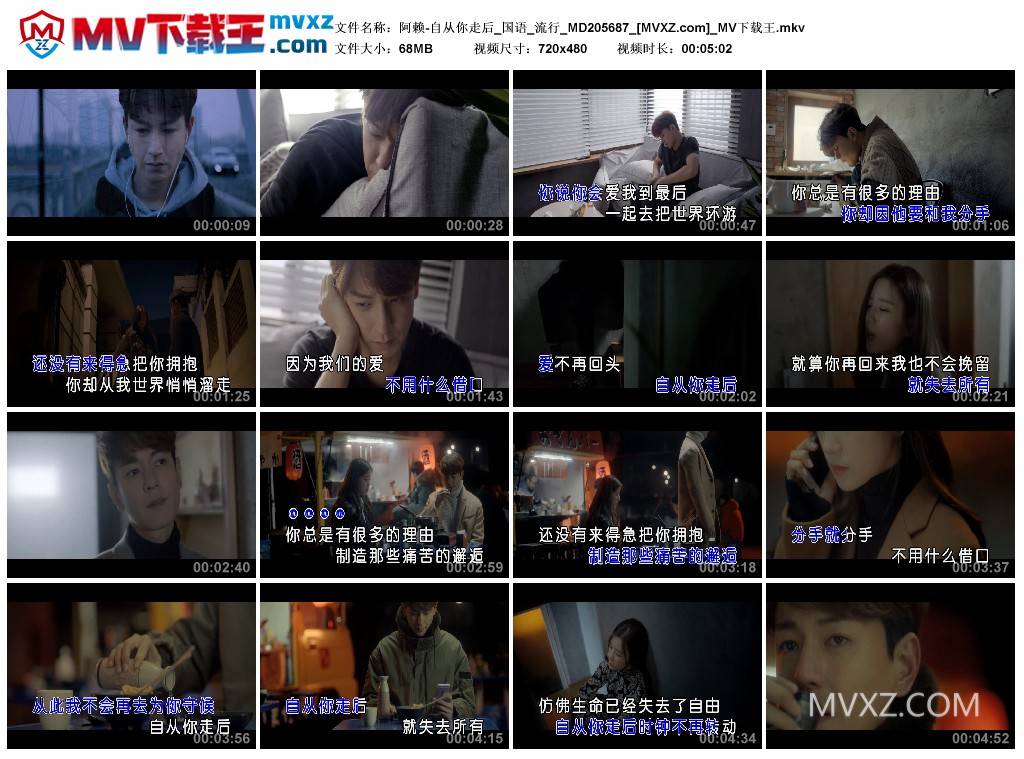 阿赖-自从你走后_国语_流行_MD205687